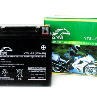 Аккумулятор Mustang YT5L-BS (гелевый)            